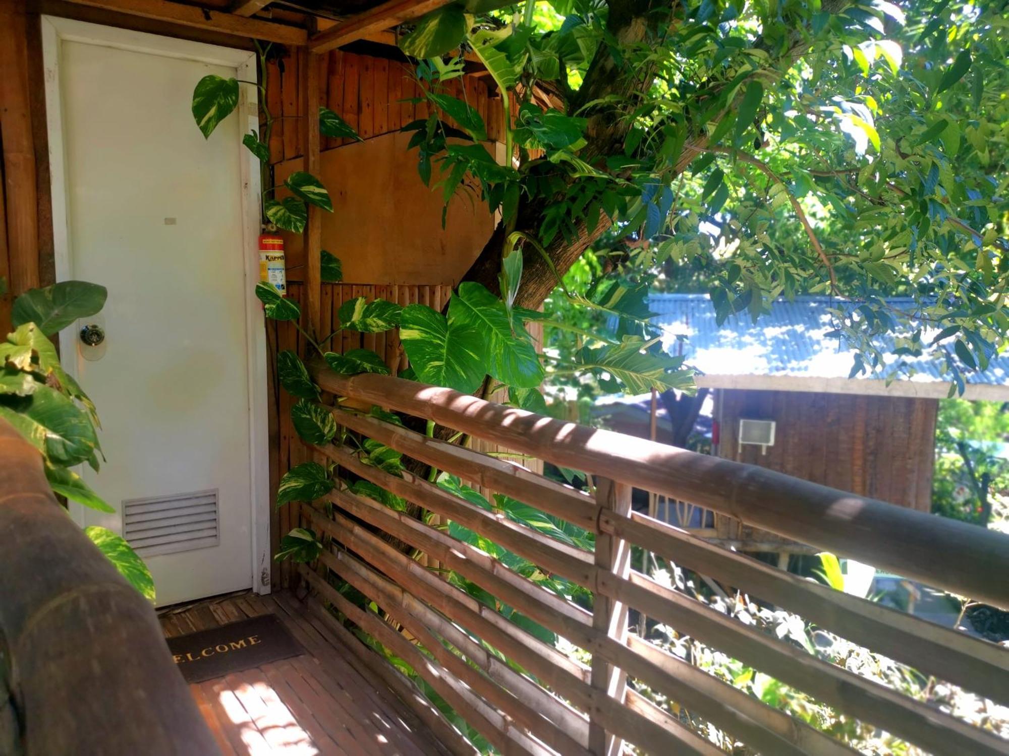 Stay N Save B&B Oslob Room photo