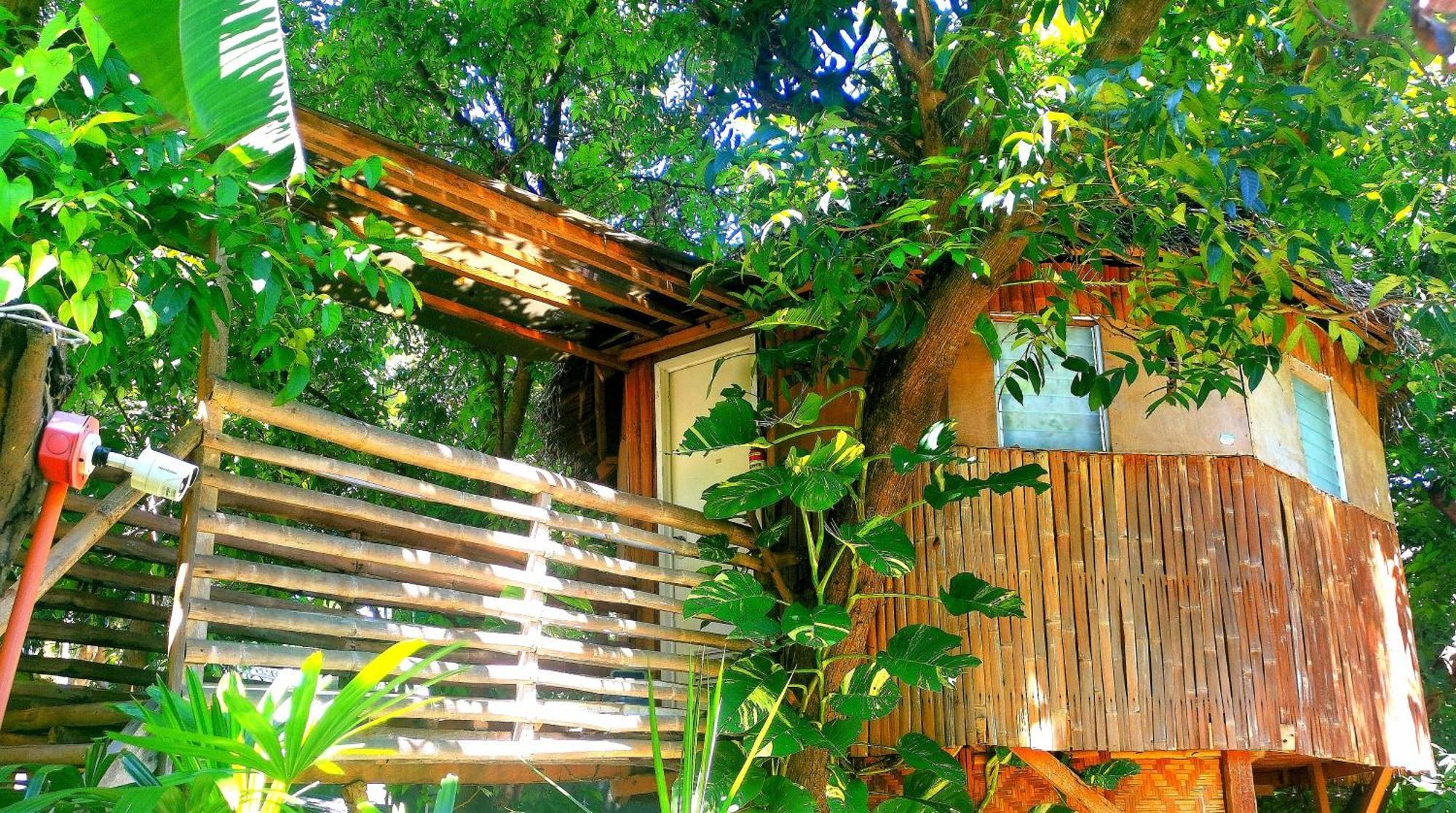 Stay N Save B&B Oslob Room photo